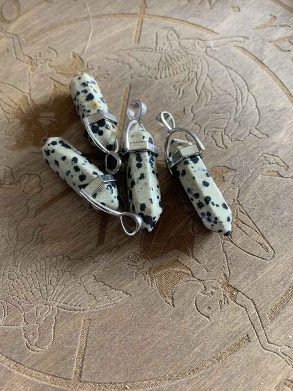 Dalmatian Pendants & Chain